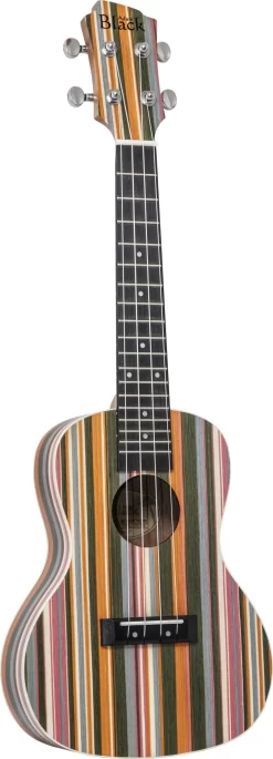 Adam Black (ABUKC130RB) Rainbow Concert Ukulele