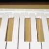 Yamaha WB124900/WB125800 White Psr Keys New Style