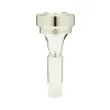 Denis Wick (4BFL) Classic Flugel Horn Mouthpiece – Silver Plated