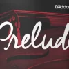 Prelude By D'Addario (J1014 4/4M) 4/4 Cello C String