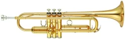 Yamaha YTR5335G Trumpet Outfit
