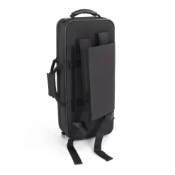 100AS - Elkhart By Conn Selmer - Gold Lacquer Eb Alto Saxophone Outfit -Melody Shop new100ascaserear